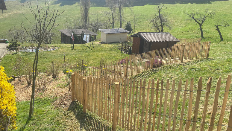 Naturzaun aus dem 2026 in 4938 Rohrbachgraben Schweiz von Zaunteam Mittelland GmbH.