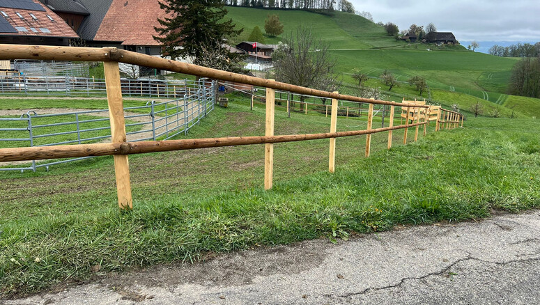 Halbrundlattenzaun aus dem 2026 in 3474 Rüedisbach Schweiz von Zaunteam Mittelland GmbH.