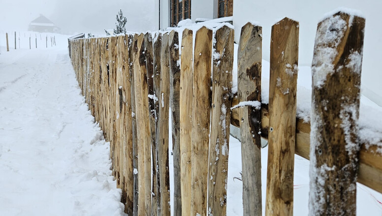 Clôture naturelle de 2024 à 87541 Oberjoch Allemagne de Zaunteam Allgäu.