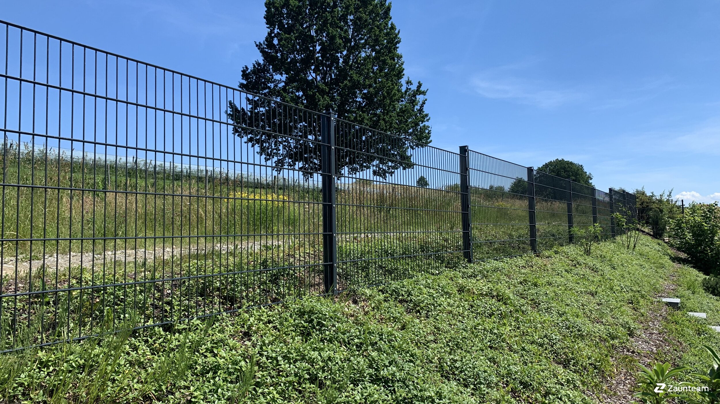 Doppelstabmattenzaun aus dem 2019 in 88400 Biberach Deutschland von Zaunteam Oberschwaben.