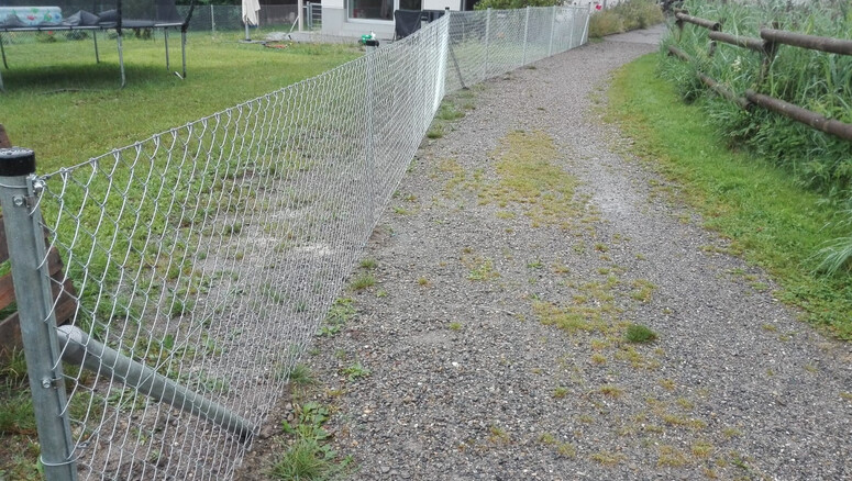Grillage simple torsion de 2024 à 88410 Bad Wurzach Allemagne de Zaunteam Oberschwaben.
