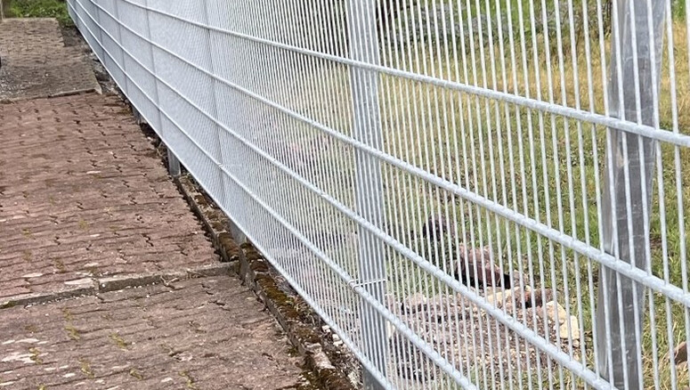 Doppelstabmattenzaun aus dem 2024 in 98724 Neuhaus Deutschland von Zaunteam Thüringer Wald.