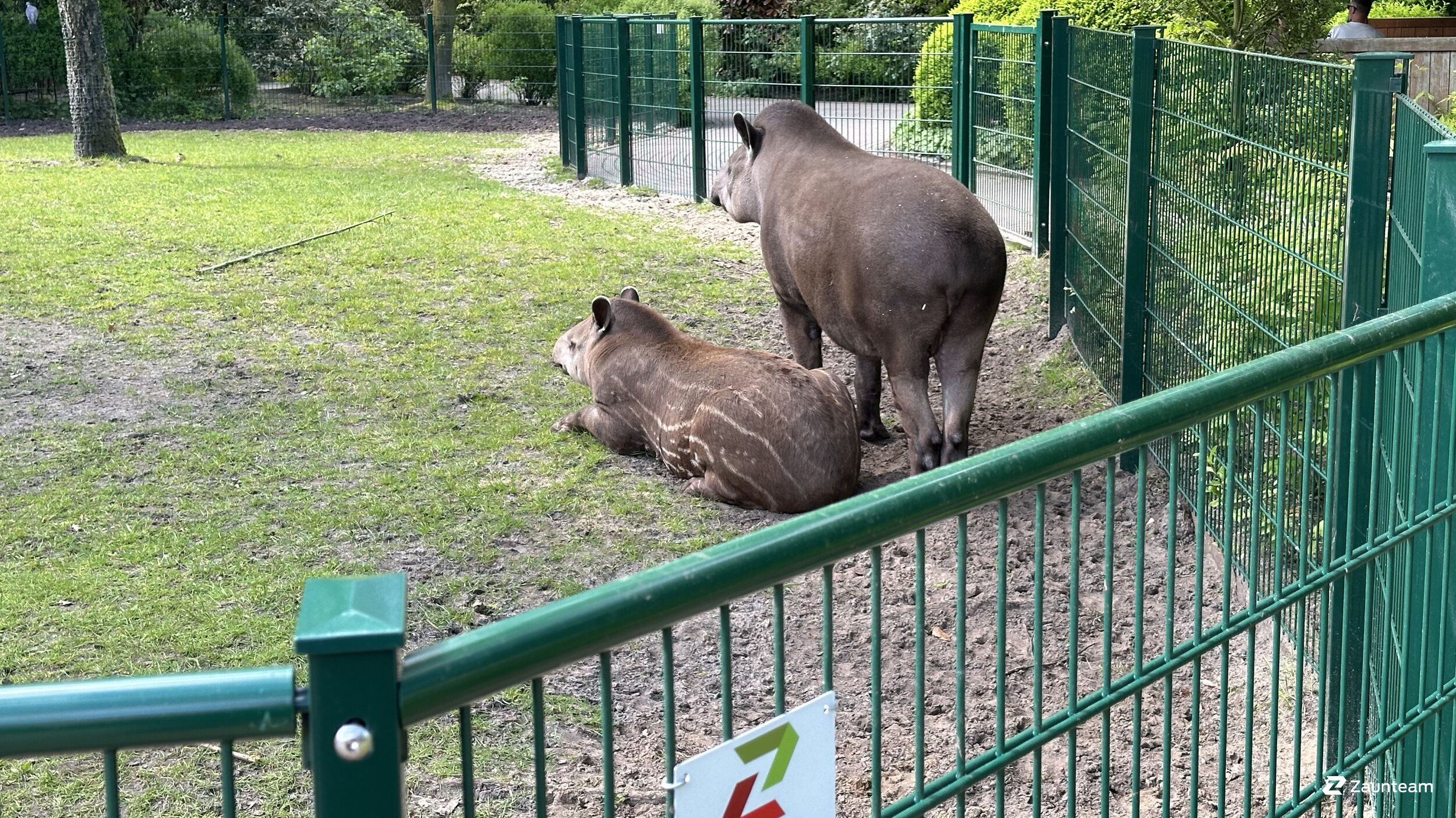 Clôture en panneau double fil de 2024 à  26169 Friesoythe Allemagne de Zaunteam Emsland.