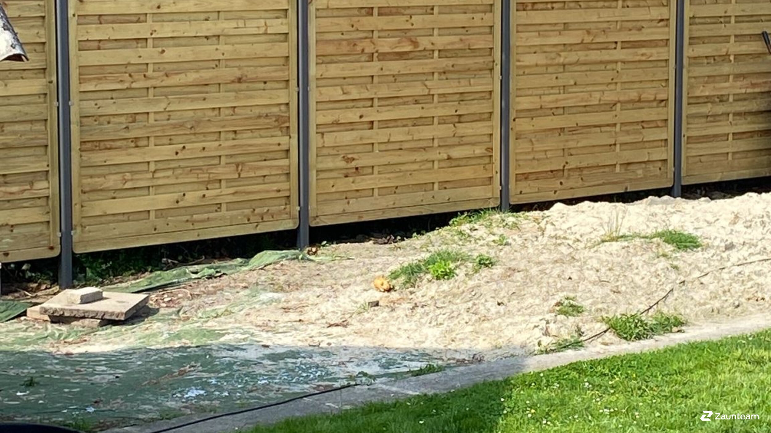 Protection brise-vue en bois de 2025 à 49696 Dwergte Allemagne de Zaunteam Emsland.