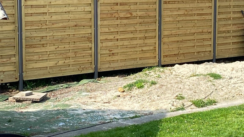 Holz Sichtschutz aus dem 2025 in 49696 Dwergte Deutschland von Zaunteam Emsland.