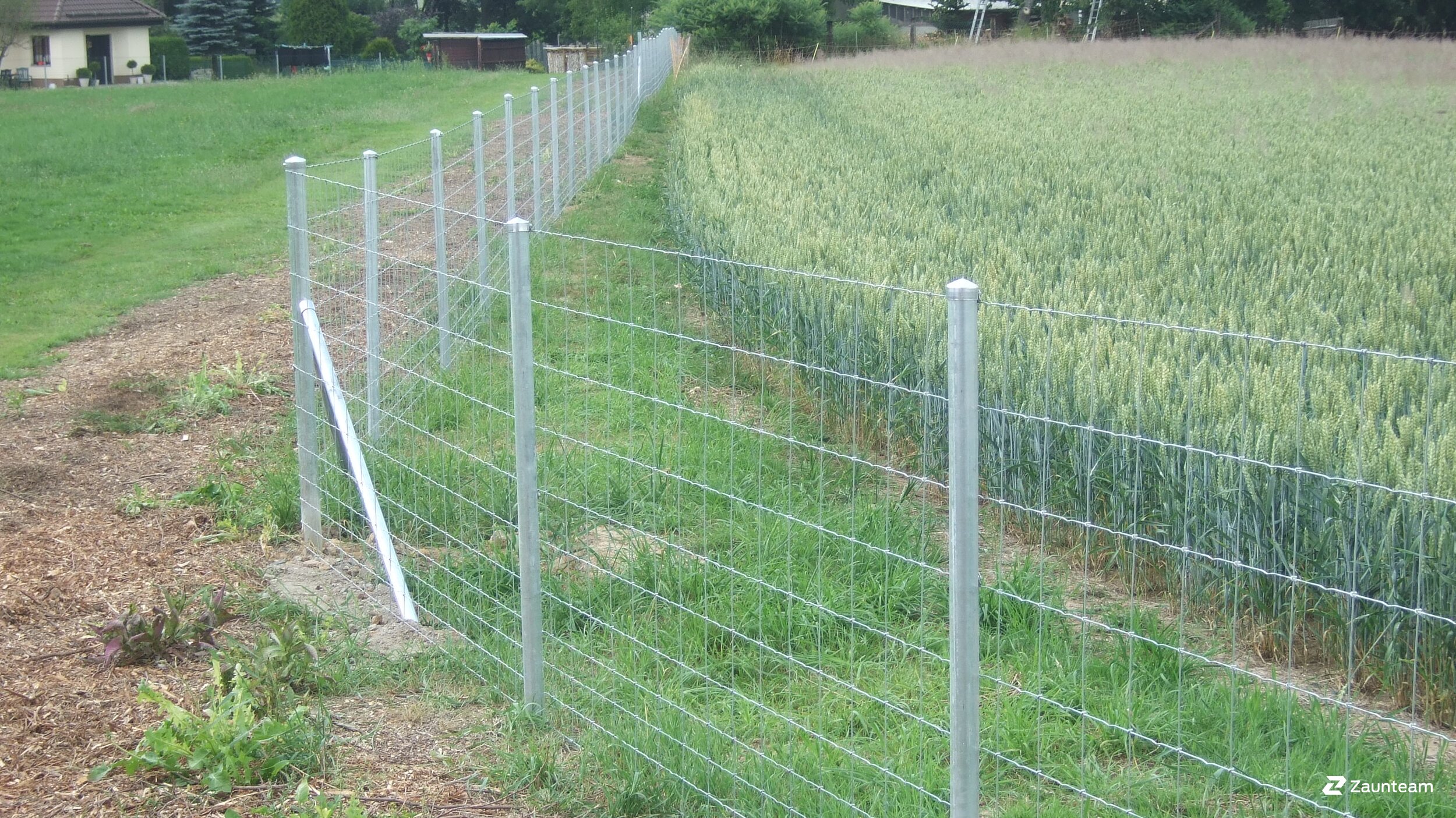 Knotengitter aus dem 2019 in 09648 Kriebstein Deutschland von Zaunteam Mittelsachsen.
