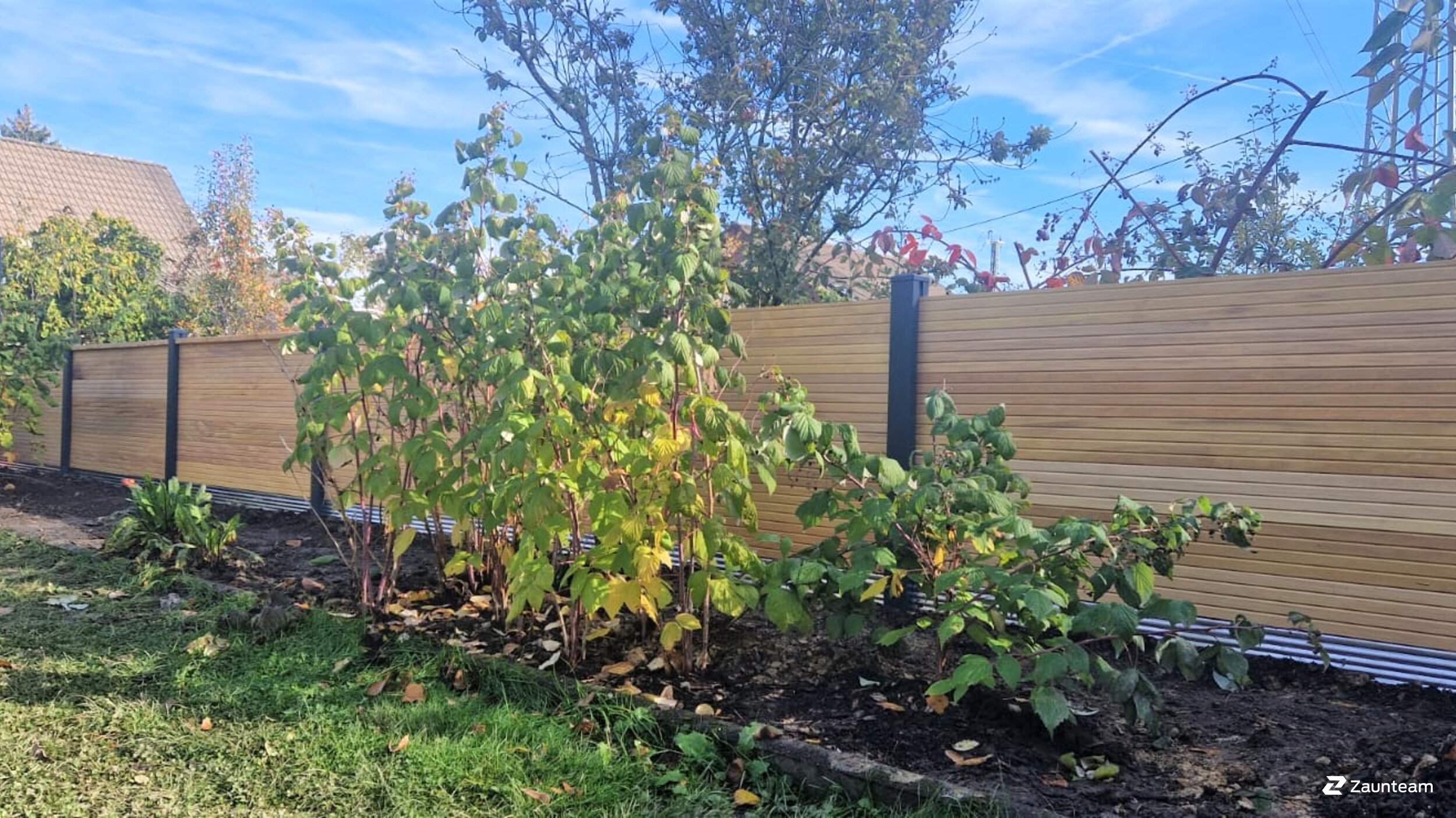Holz Sichtschutz aus dem 2022 in 40231 Düsseldorf Deutschland von Franchise AG.