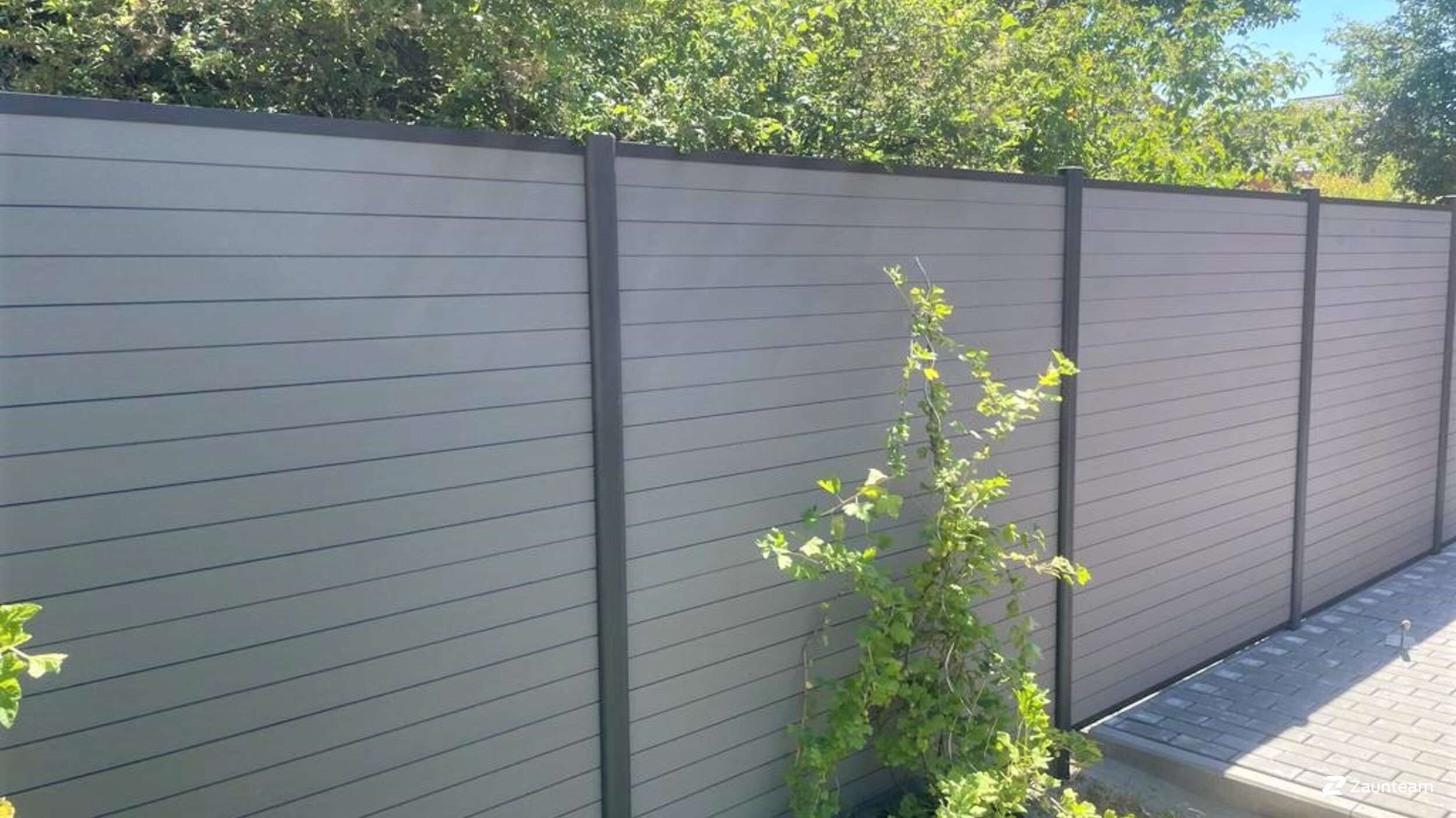 WPC Sichtschutz aus dem 2023 in 41472 Neuss Deutschland von Franchise AG.