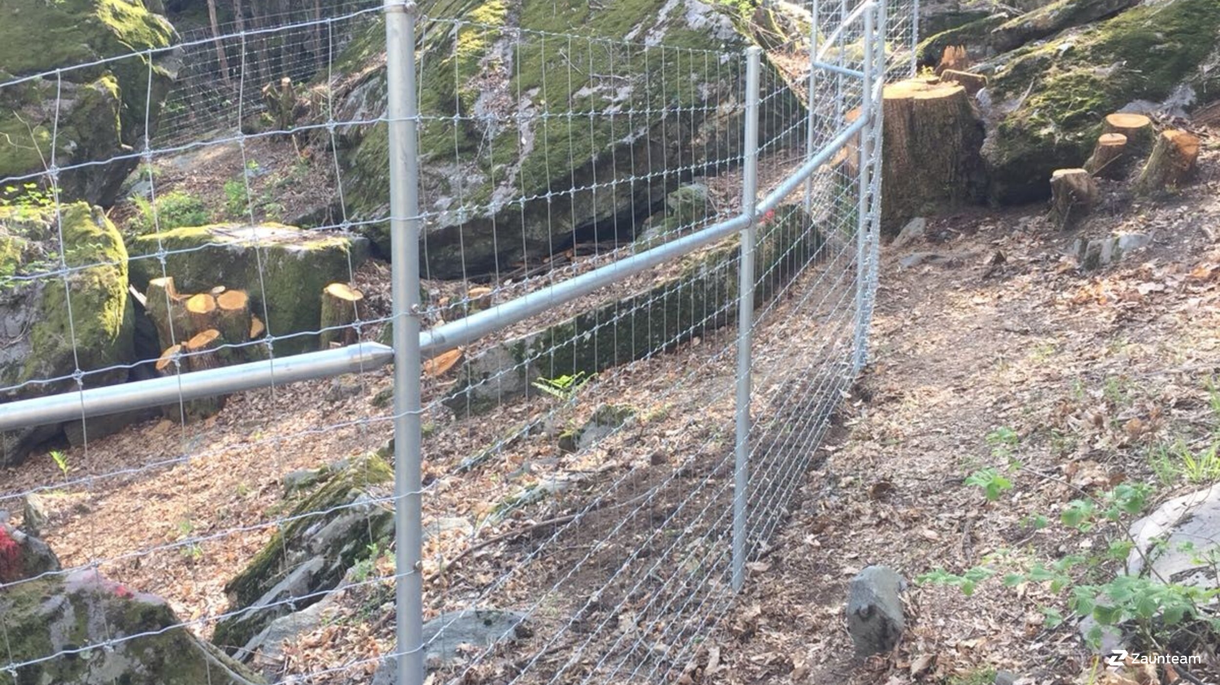 Knotengitter aus dem 2019 in 6537 Grono Schweiz von Franchise AG.