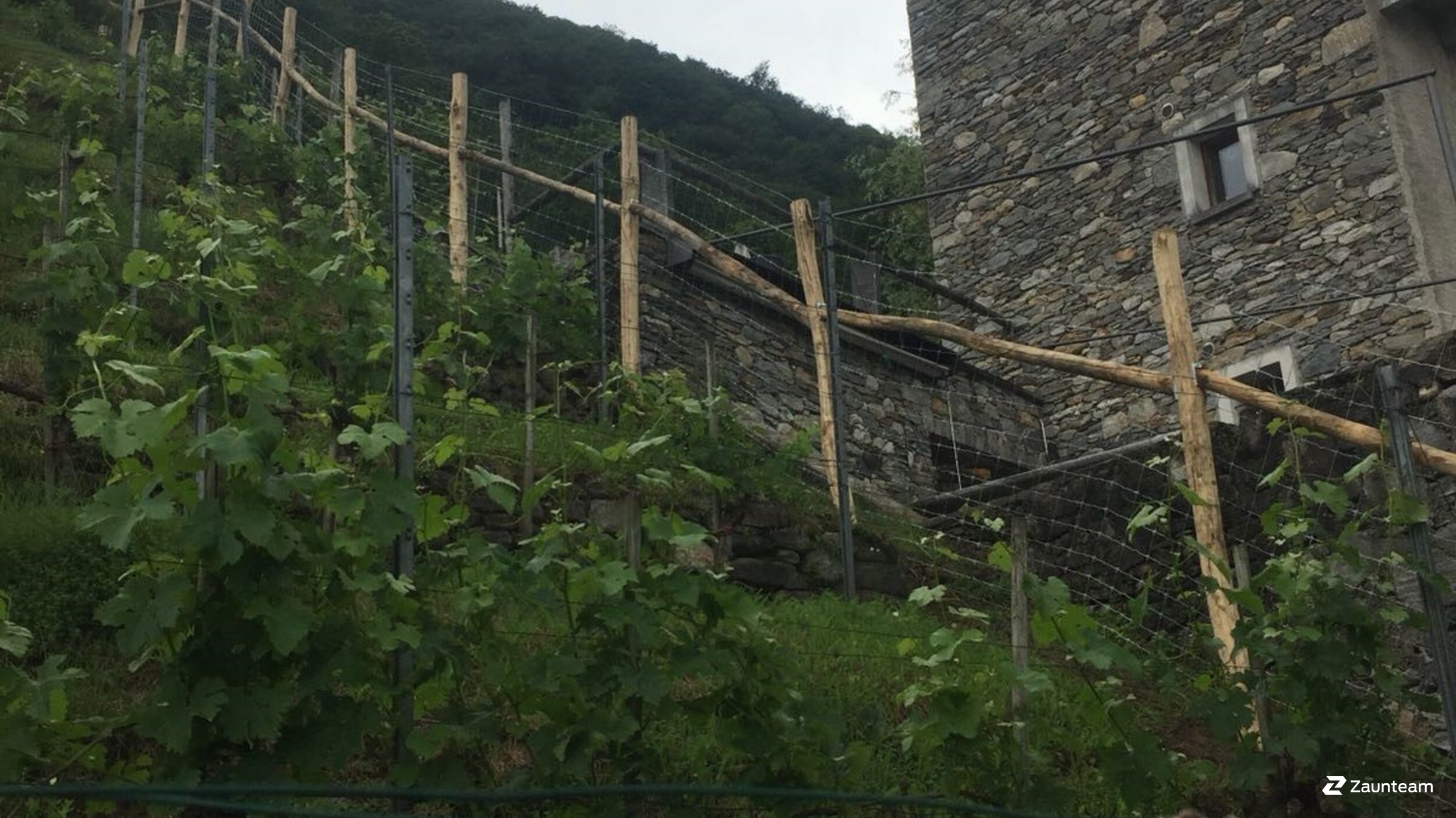 Knotengitter aus dem 2019 in 6515 Gudo Schweiz von Franchise AG.