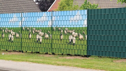 Protection brise-vue en tressage de 2023 à 26603 Aurich Allemagne de Zaunteam Ostfriesland.