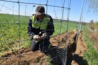Zaun zum Schutz vor der Schweinepest | © Zaunteam